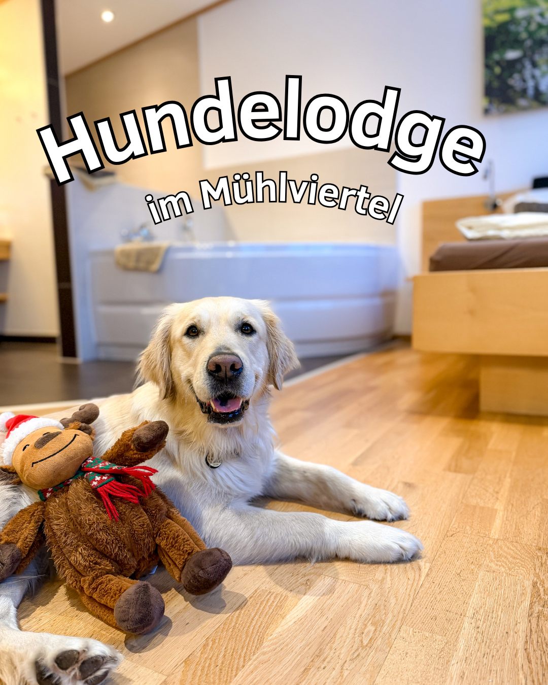 🌿 Urlaub mit Hund am Wanderreiter Hof (Mühlviertel, OÖ)